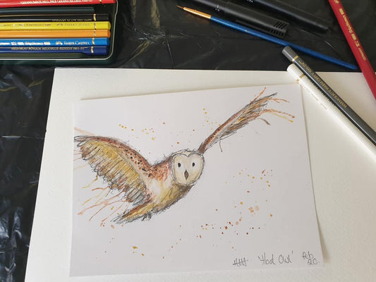 Hoot owl illustration