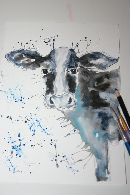 Black and white cow