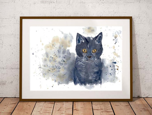 Cat ( British blue shorthair ) fine art print