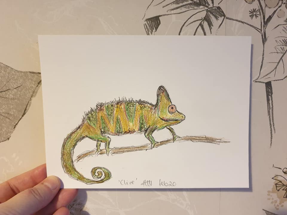 Clive chameleon illustration
