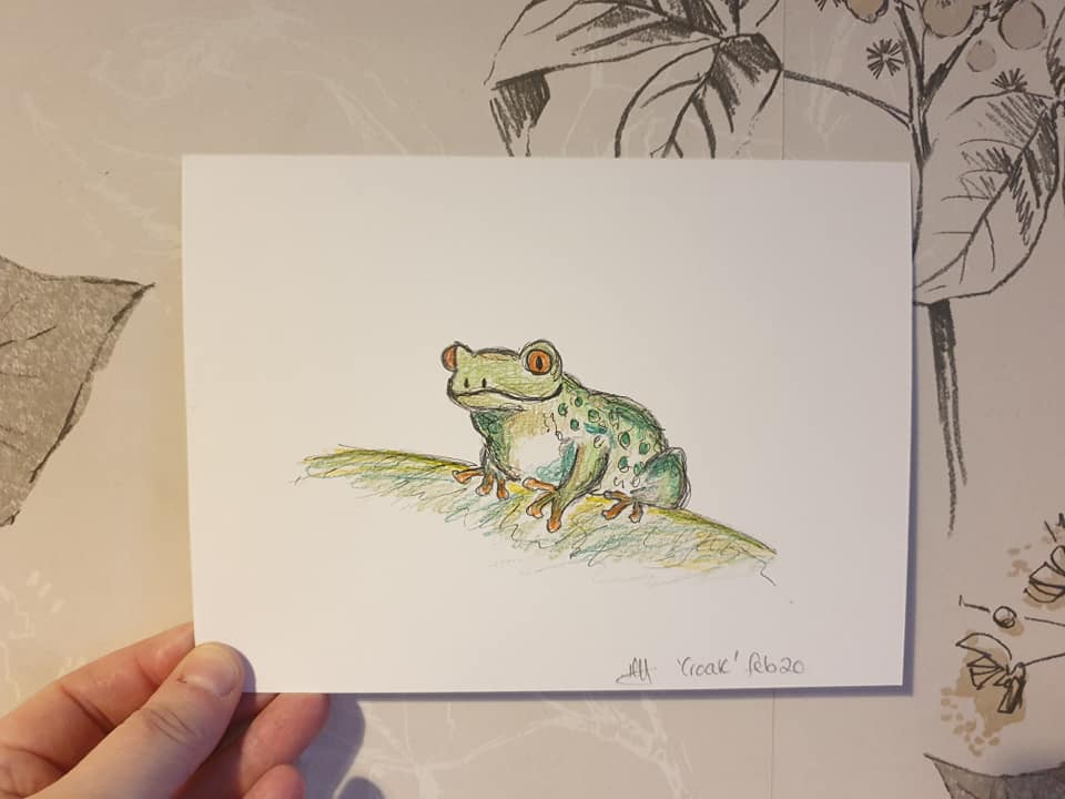 Croak frog illustration