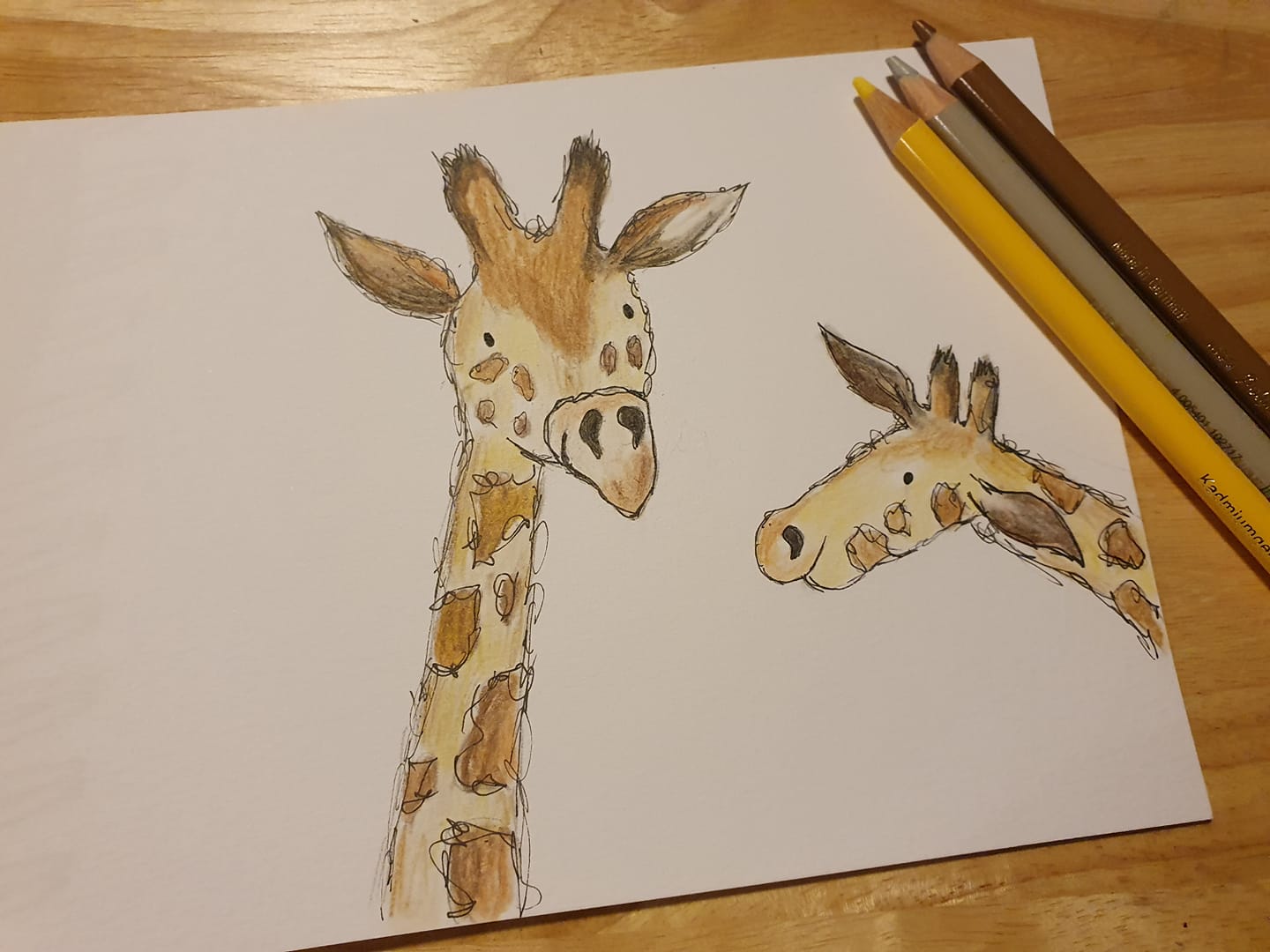 Giraffes illustration