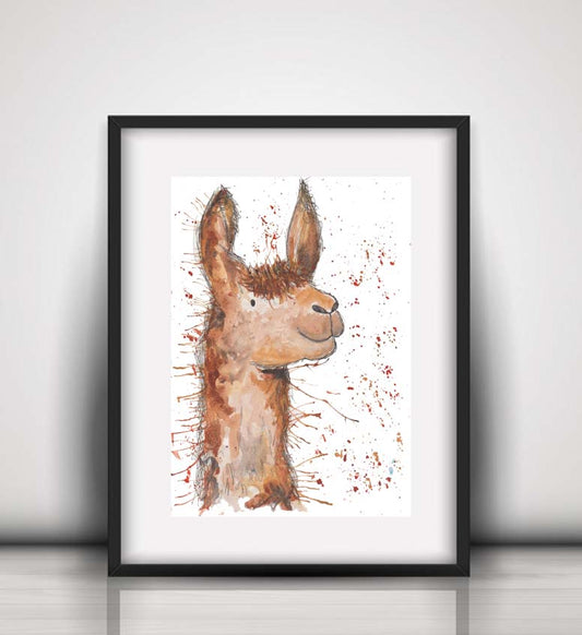 Llama fine art print