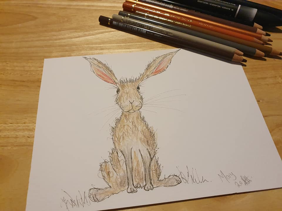 Hare 'Mary' illustration