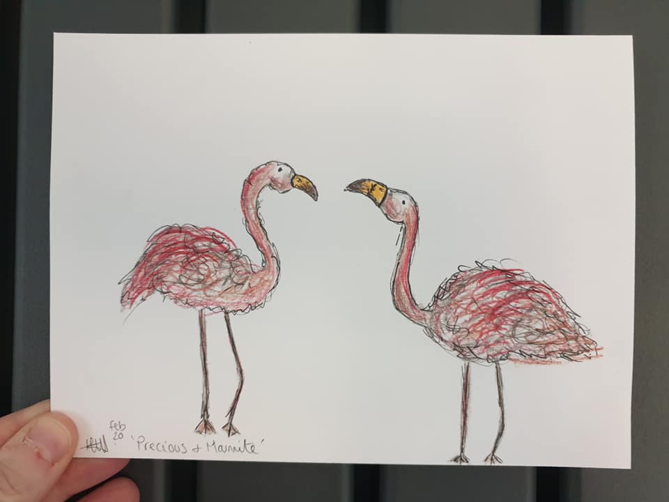 Precious and Marmite flamingoes illustration