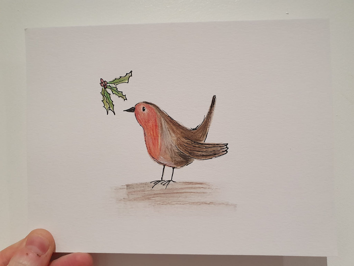 Little robin and holly illustration