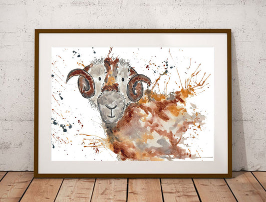 Sheep / Ram fine art print