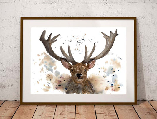 Stag 'Stanley' fine art print
