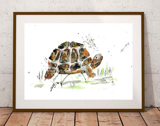 Tortoise fine art print
